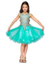 Girls Aqua Gold Trim Wire Tulle Flower Girl Junior Bridesmaid Dress 4-20